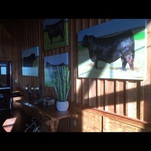 Meet your Posher, Cary